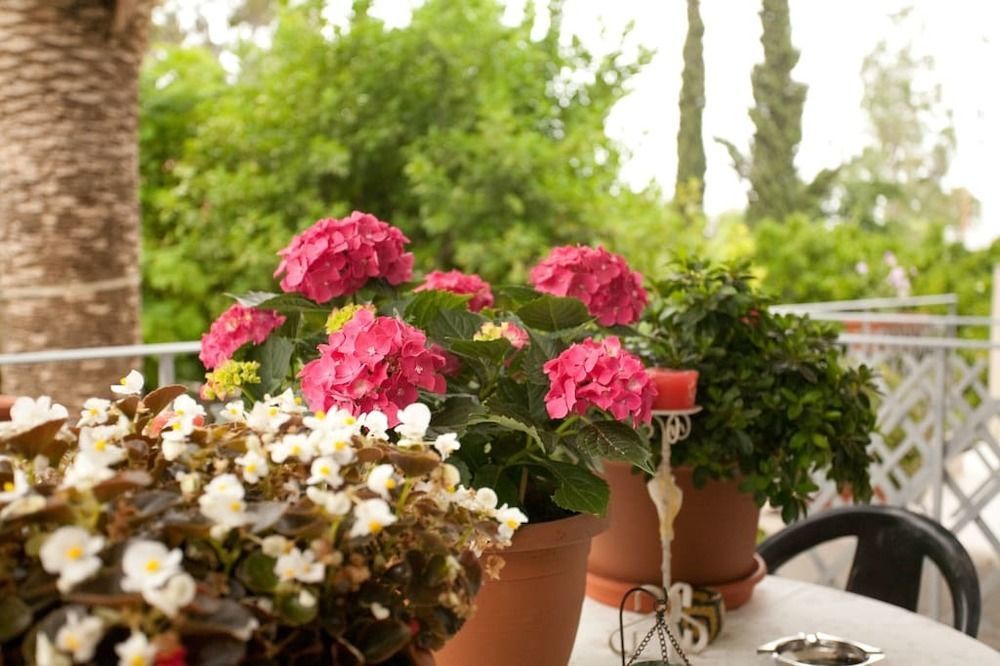 Veggie Garden Athens B&B ภายนอก รูปภาพ